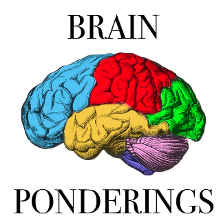 Brain-ponderings