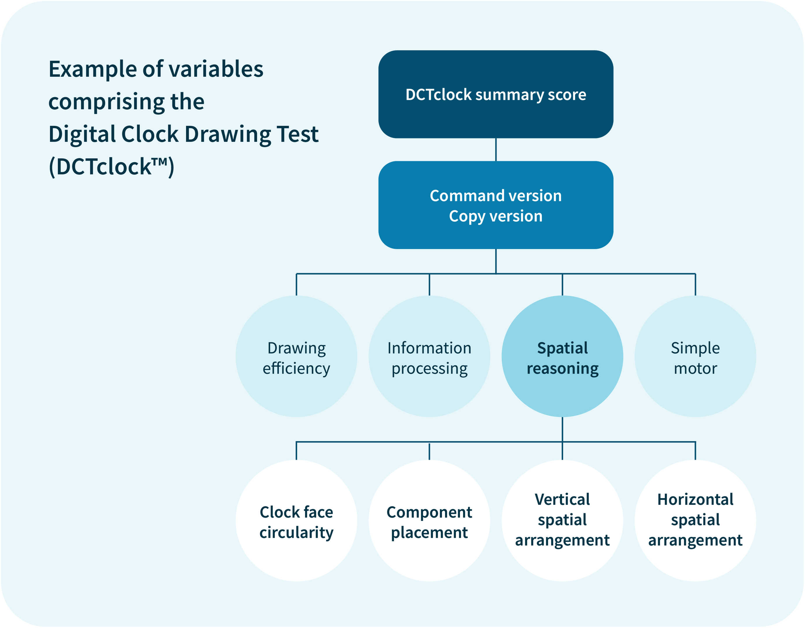 The Digital Clock and Recall test evaluates the key cognitive function areas and translates those scores into a simplified score to ensure providers have an efficient method of intervening in a potential cognitive impairment. Digital Cognitive Assessments provide greater sensitivity over traditional paper-based cognitive tests like the MMSE, MOCA, and Mini-Cog